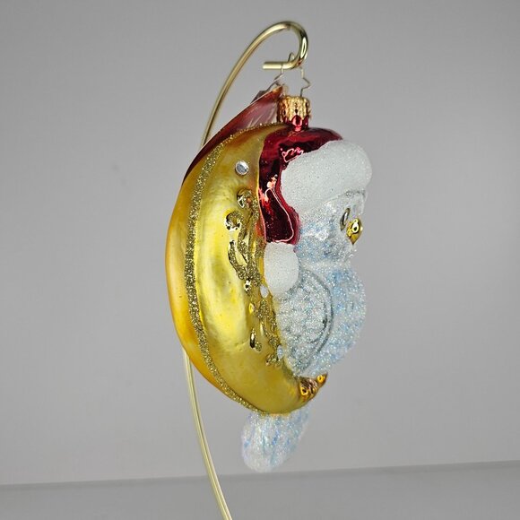 Christopher Radko Glass Owl On Moon Christmas Ornament Hooo Knew - Picture 4 of 8